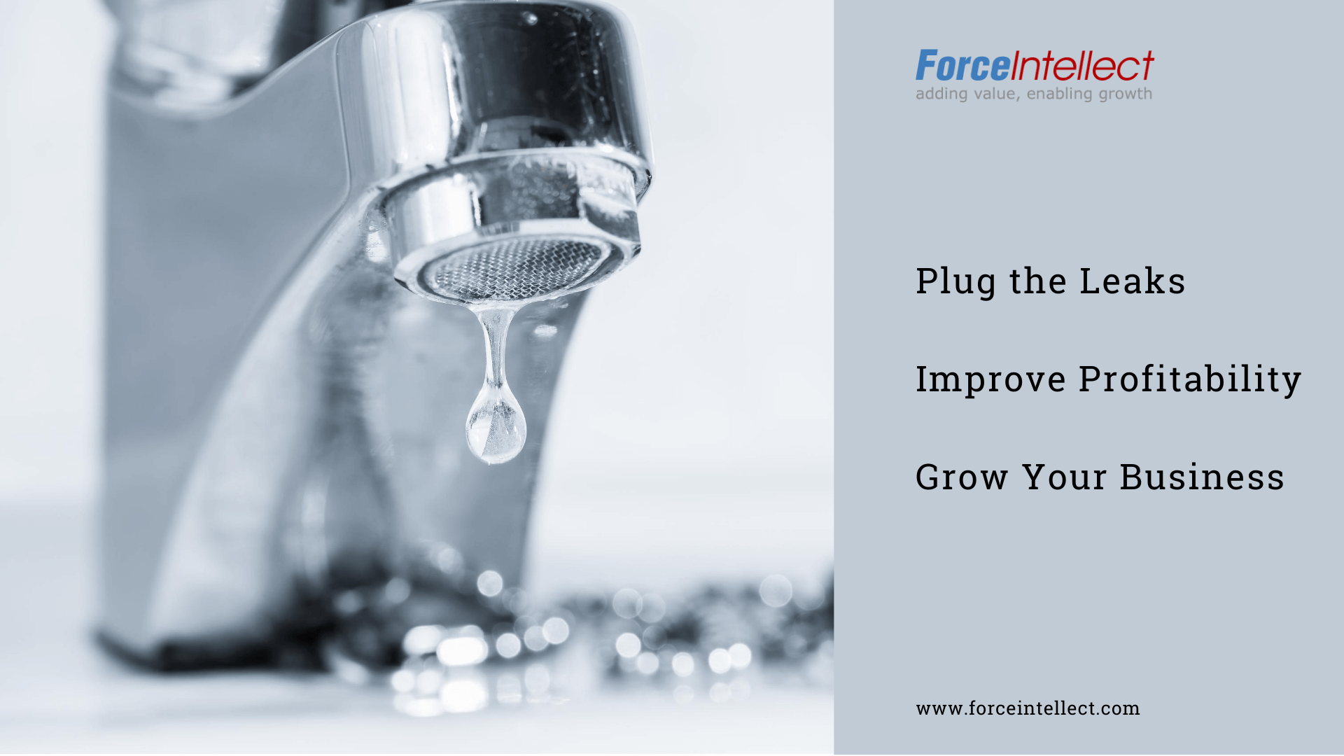 Plug the Leaks Improve Profitability Grow Your Business