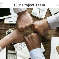 ERP Project Team