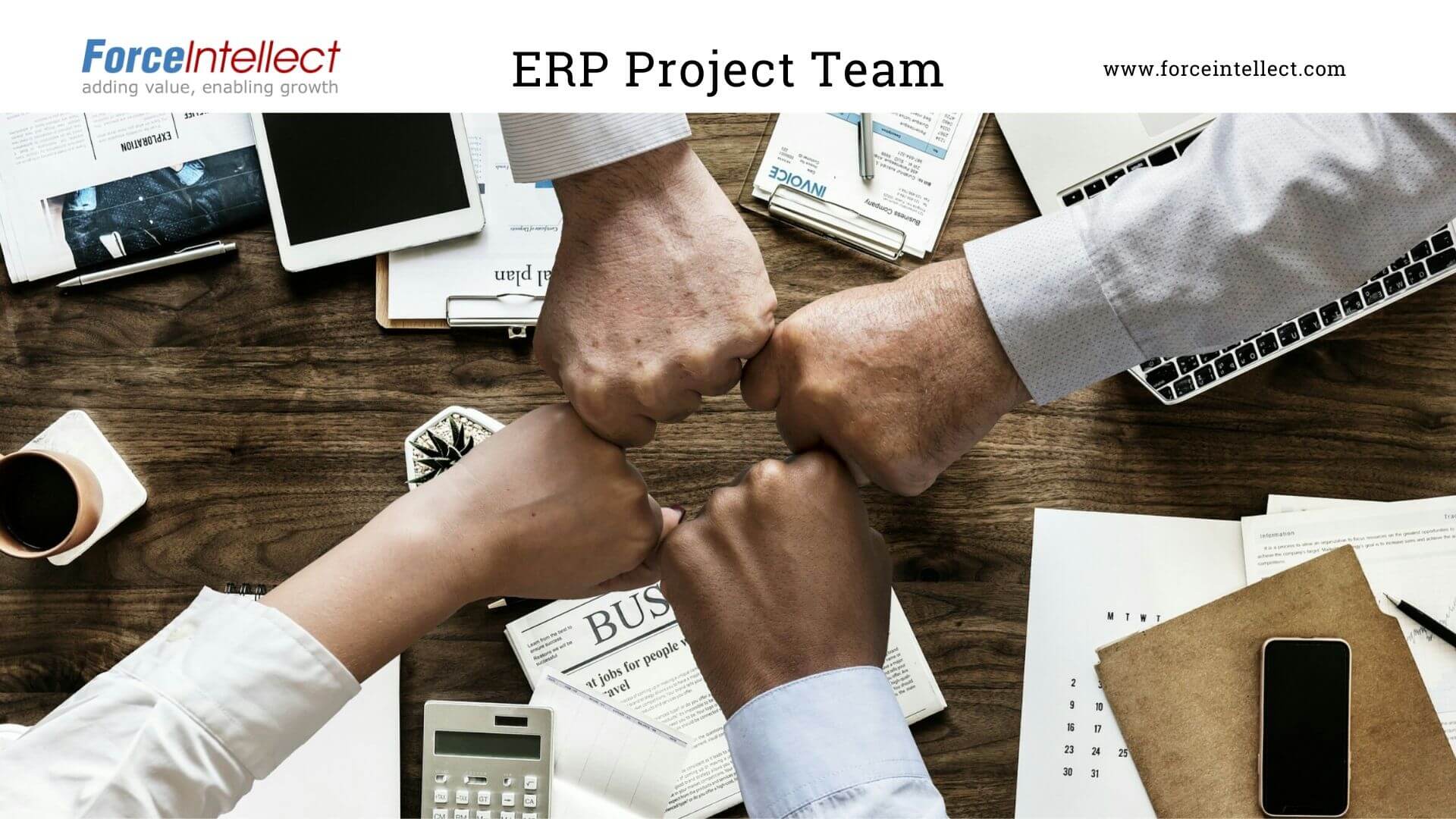 ERP Project Team